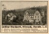 Reklame: Institut Burchardi, Eisenach